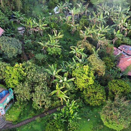 Finca Neblina Del Bosque Esteli Ngoại thất bức ảnh