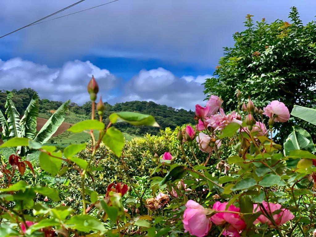 Finca Neblina Del Bosque Esteli Ngoại thất bức ảnh