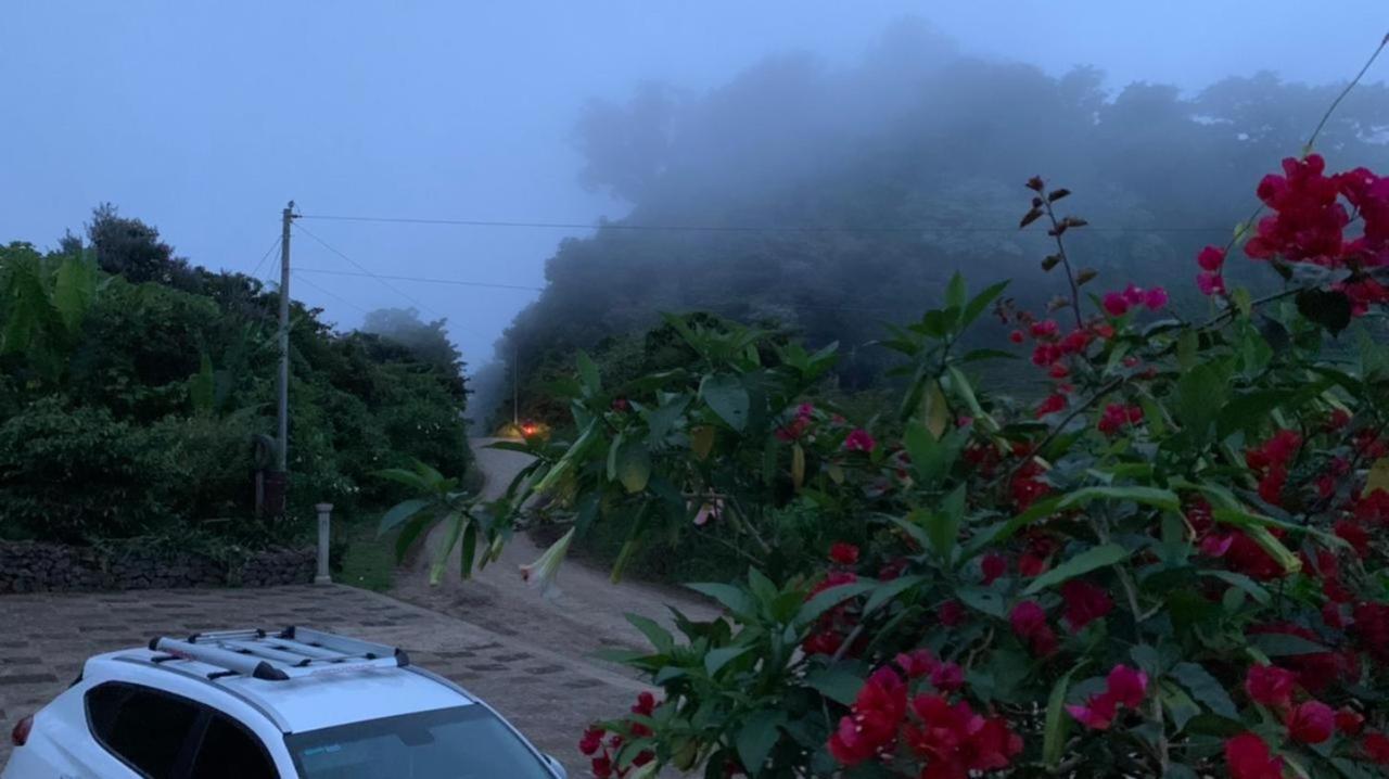 Finca Neblina Del Bosque Esteli Ngoại thất bức ảnh