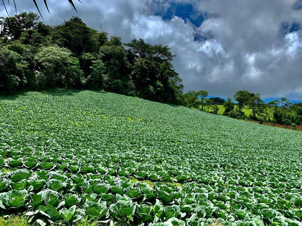 Finca Neblina Del Bosque Esteli Ngoại thất bức ảnh