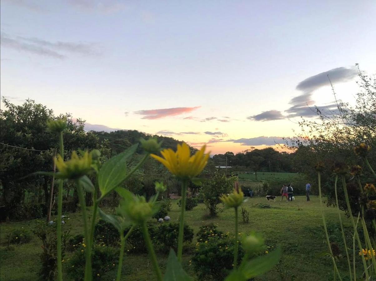 Finca Neblina Del Bosque Esteli Ngoại thất bức ảnh
