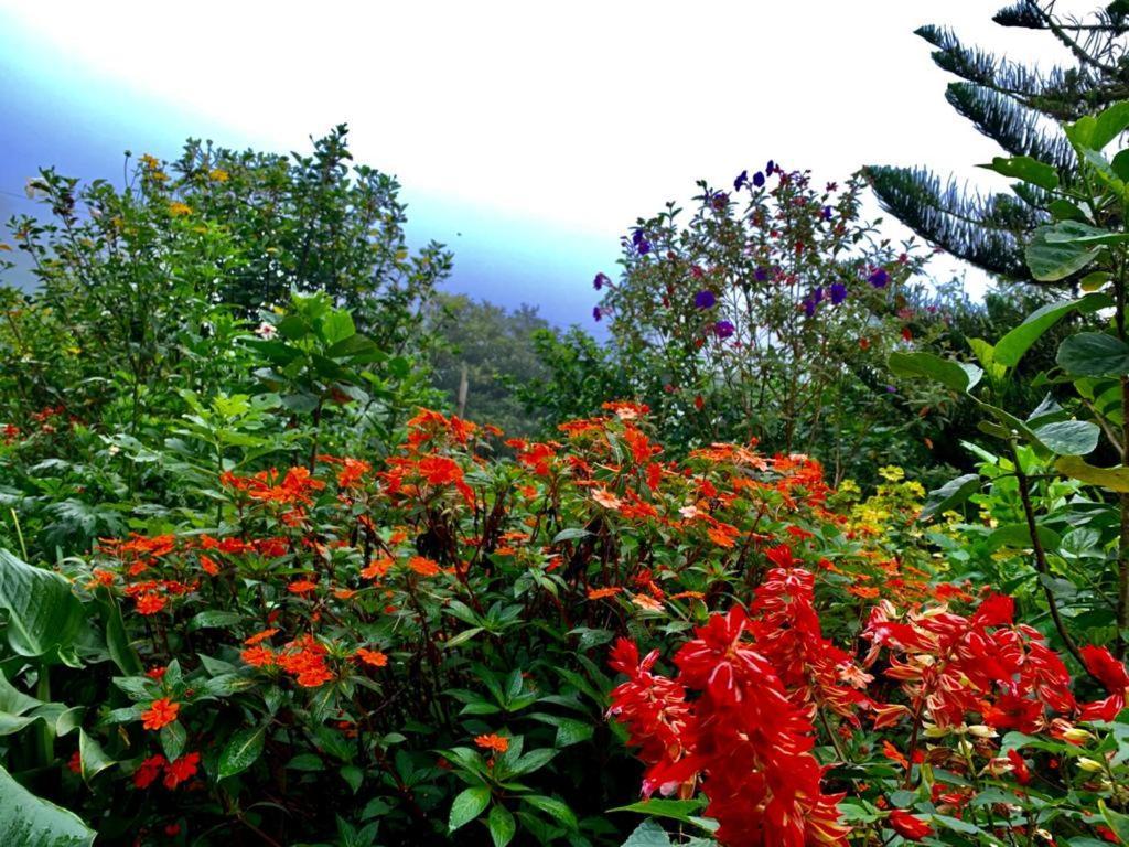 Finca Neblina Del Bosque Esteli Ngoại thất bức ảnh