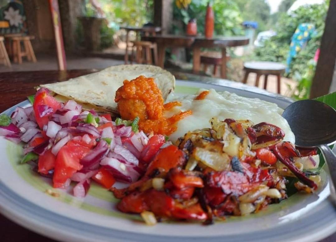 Finca Neblina Del Bosque Esteli Ngoại thất bức ảnh