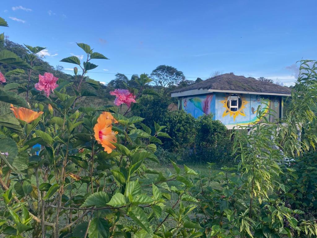 Finca Neblina Del Bosque Esteli Ngoại thất bức ảnh