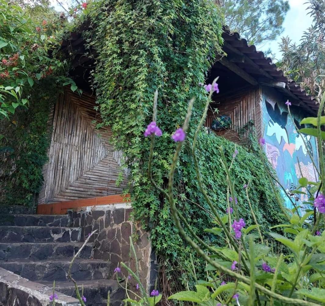 Finca Neblina Del Bosque Esteli Ngoại thất bức ảnh